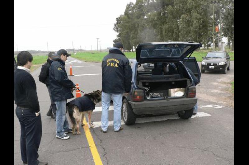 Varios vehÃ­culos fueron revisados en la maÃ±ana de ayer 