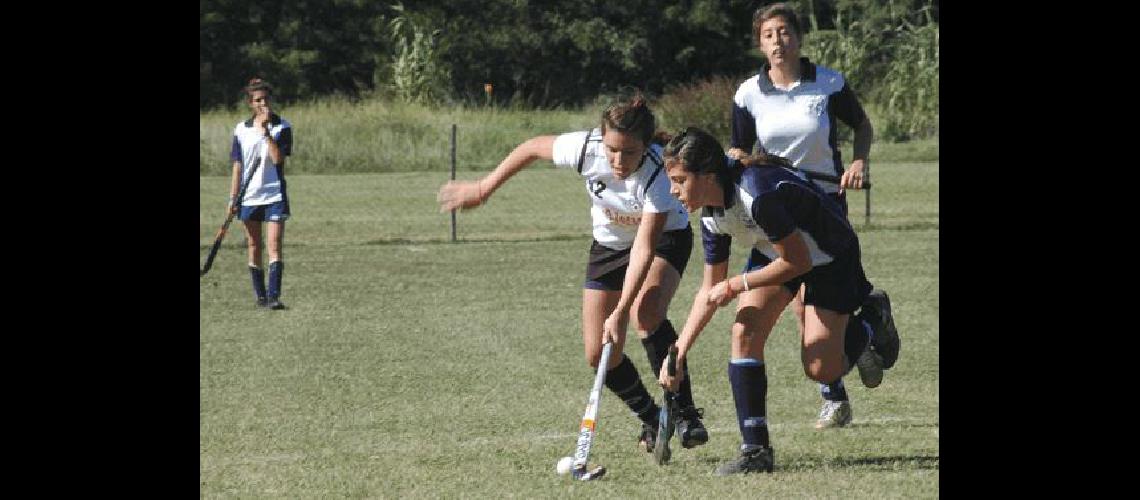 Los equipos albinegros compiten en el Oficial de la FederaciÃ³n Tandilense Archivo 