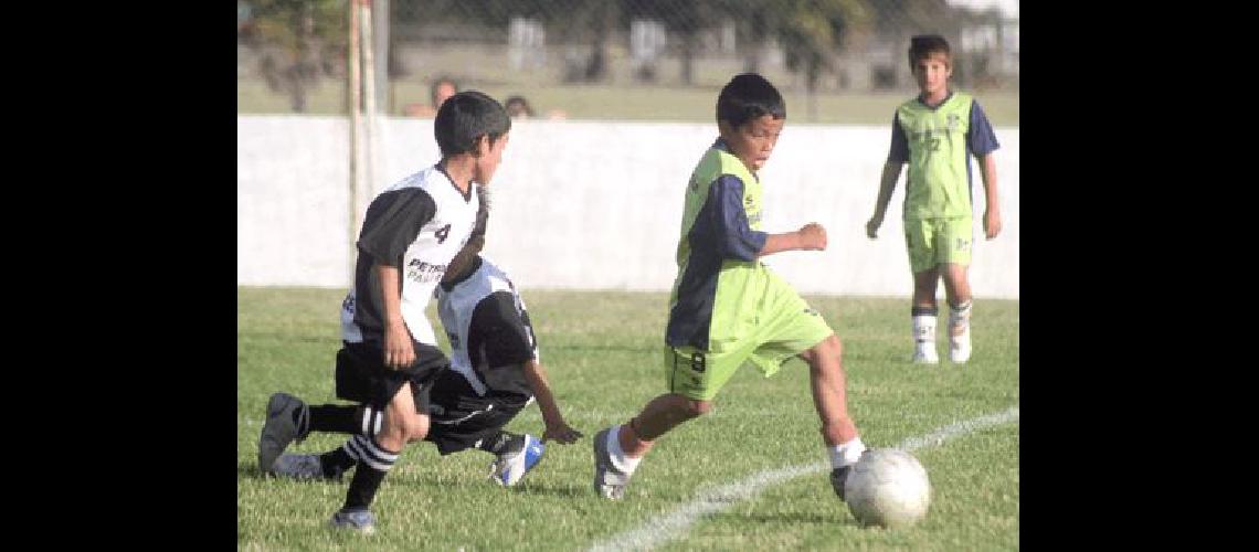 EstÃ en marcha la subsede OlavarrÃ­a del 5Âº Torneo de Nacional de FÃºtbol Infantil Los Gurises Archivo 