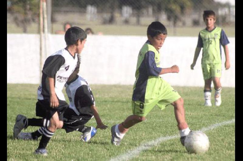 EstÃ en marcha la subsede OlavarrÃ­a del 5Âº Torneo de Nacional de FÃºtbol Infantil Los Gurises Archivo 