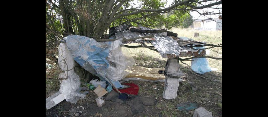 A escasos metros de la pileta en que vivÃ­a y muriÃ³ un hombre de la calle se armÃ³ una casita contra un Ã�rbol Claudio MartÃ­nez 