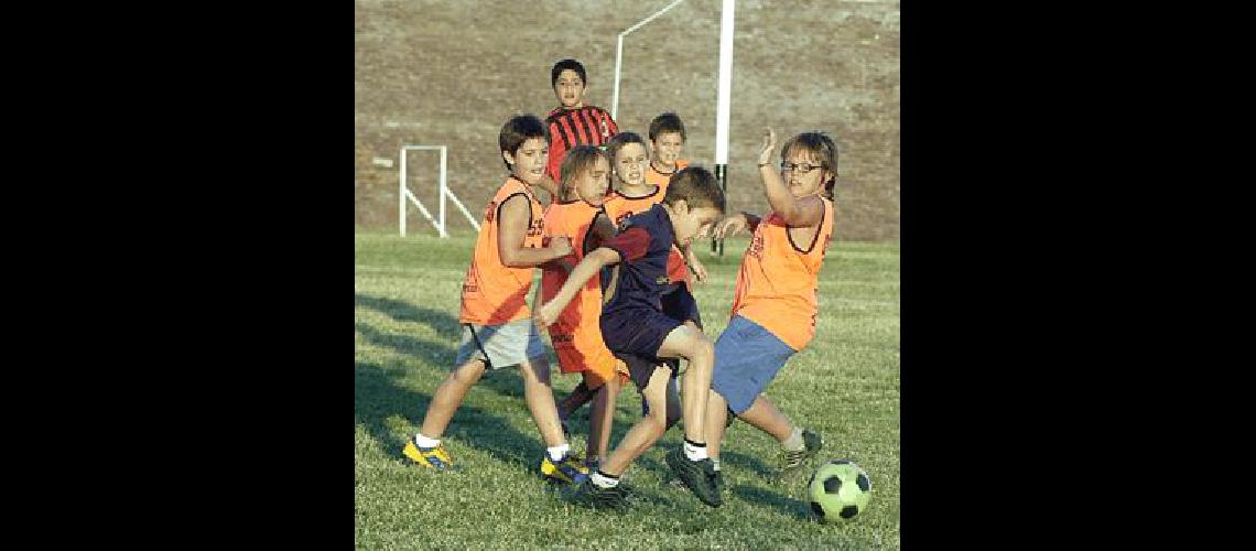 En la cancha central del Bata se disputa el baby fÃºtbol que finalizarÃ el viernes Carlos RamÃ­rez 