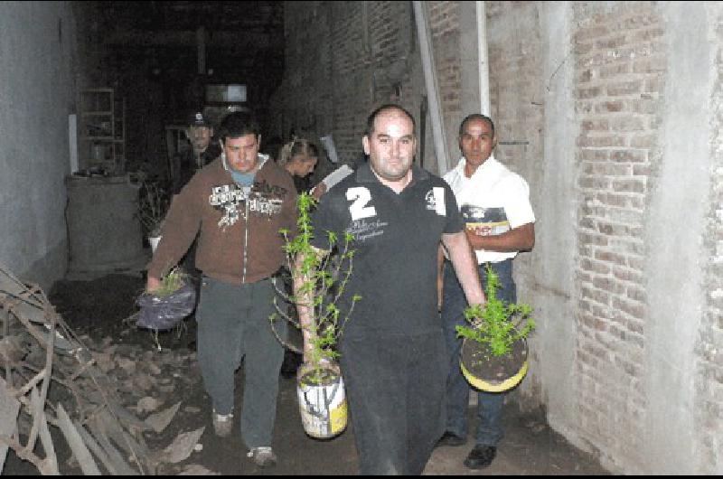 Personal policial en momentos que retiran del lugar parte de las plantaciones Agencia 