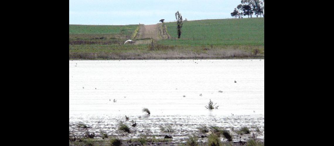 La laguna empezÃ³ su recuperaciÃ³n con las Ãºltimas lluvias 