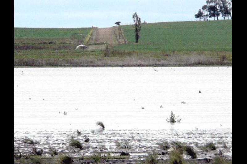 La laguna empezÃ³ su recuperaciÃ³n con las Ãºltimas lluvias 