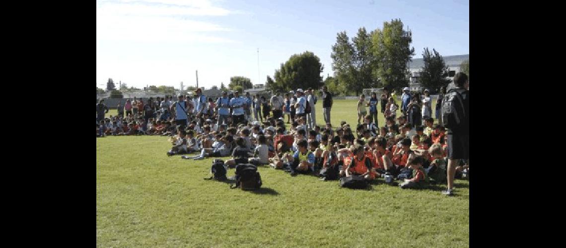 MÃ�s de 350 chicos de Racing Ingeniero La Colina sumados a los de Laprida OlavarrÃ­a Loma Negra San Jorge y Pringles disputaron el encuentro de escuelitas 