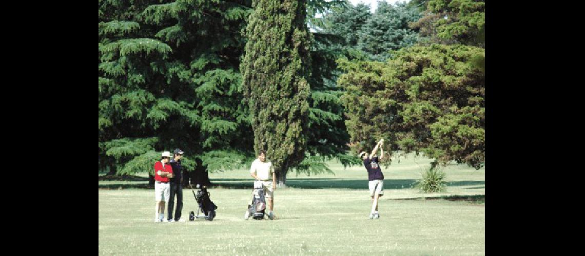 La cancha albinegra estarÃ en Ã³ptimas condiciones Archivo 