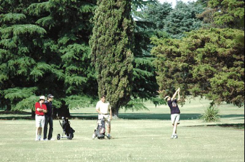 La cancha albinegra estarÃ en Ã³ptimas condiciones Archivo 