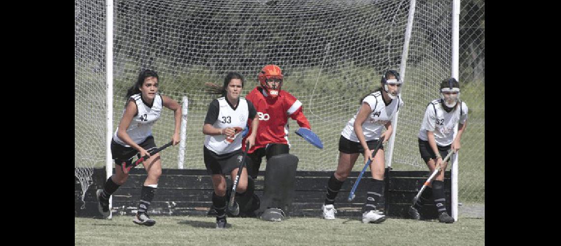 El plantel femenino tuvo una destacada labor Prensa CAE 