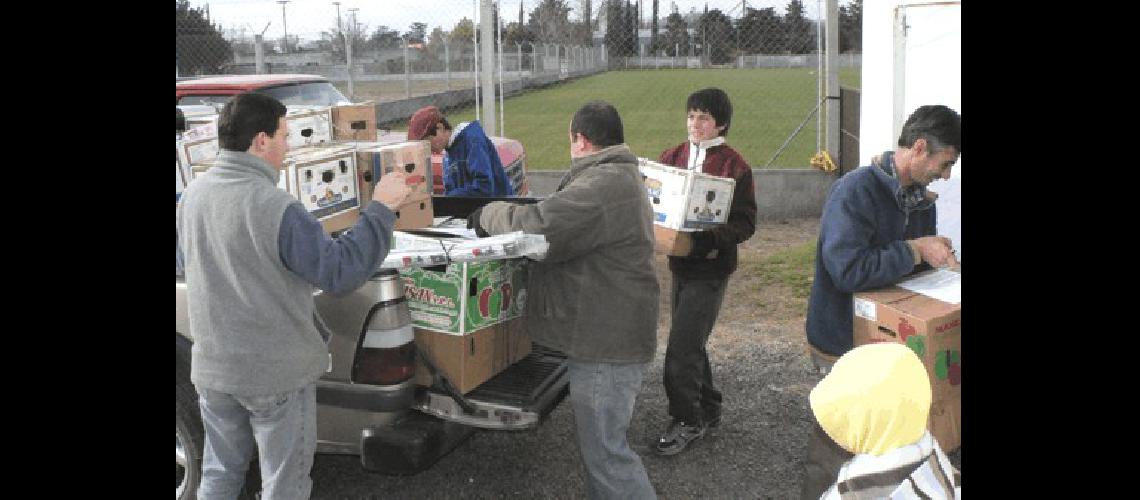 Los primeros ejemplares de la regiÃ³n llegaron de Pringles y Rauch 