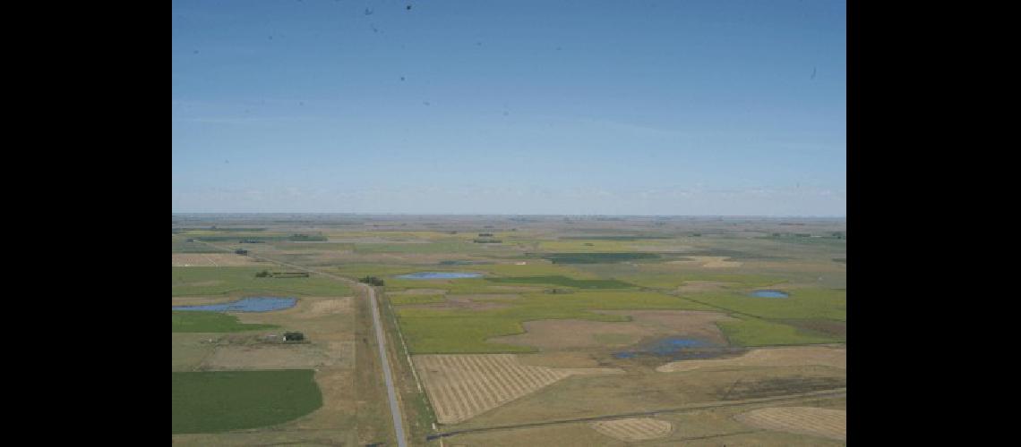 Desde el cielo los campos lamatritenses se ven con buena cobertura Agencia 