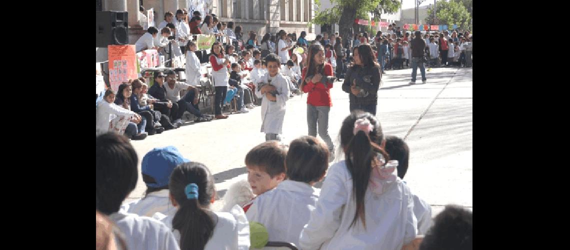 En el desfile participaron mÃ�s de 100 mascotas entre ellas perros gatos y otros animales 