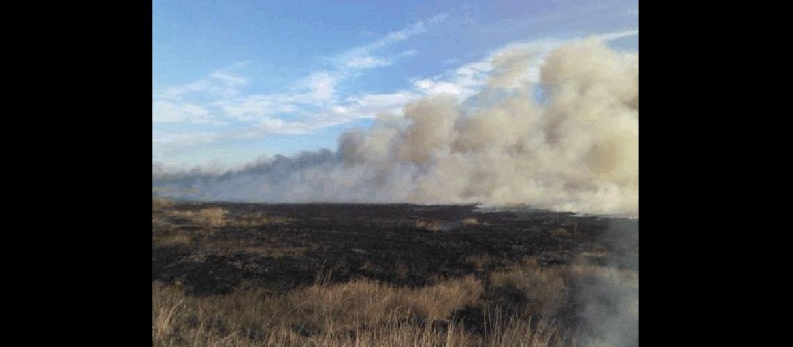 La sequÃ­a provocÃ³ la quema de mÃ�s de 240 hectÃ�reas Por ello continÃºa la evaluaciÃ³n de datos para solicitar la emergencia agropecuaria para La Madrid 