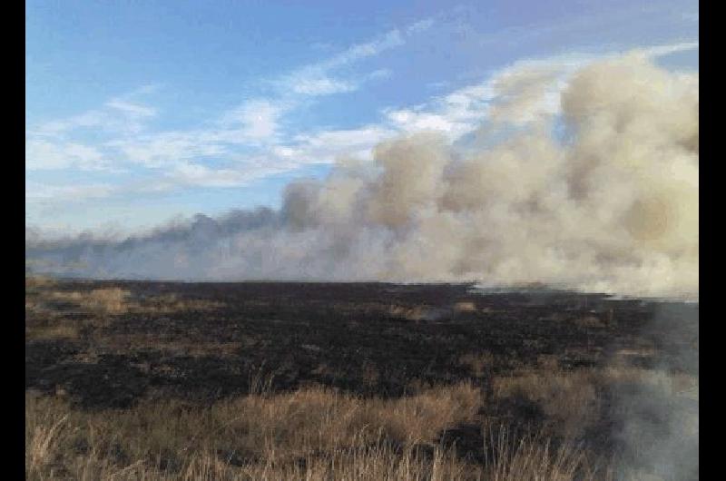 La sequÃ­a provocÃ³ la quema de mÃ�s de 240 hectÃ�reas Por ello continÃºa la evaluaciÃ³n de datos para solicitar la emergencia agropecuaria para La Madrid 