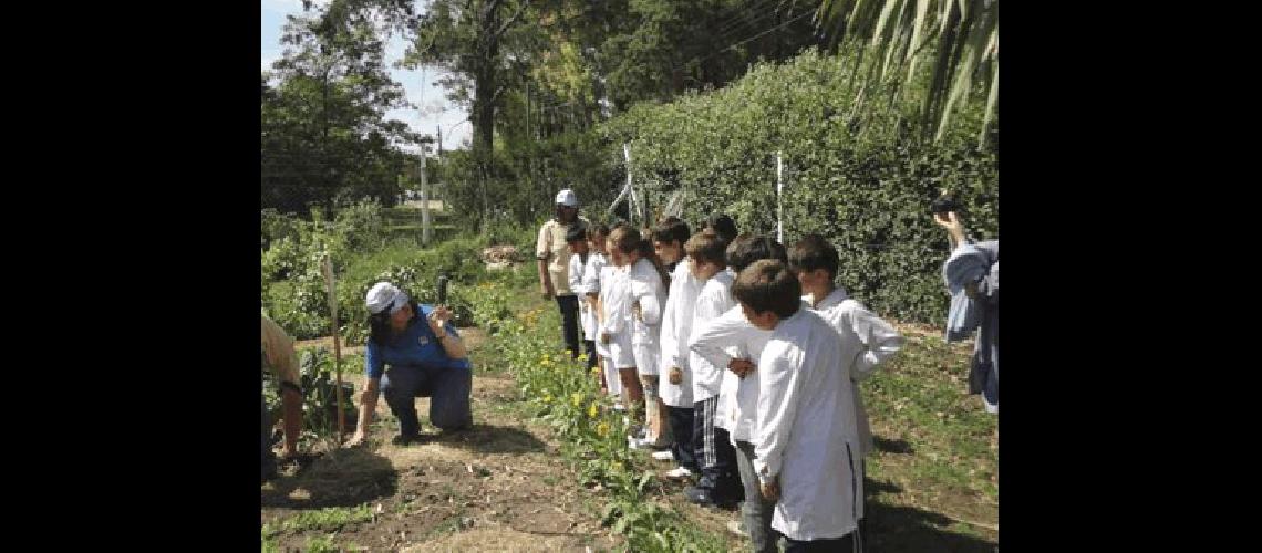 Iriarte asegura que los niÃ±os son muy receptivos respecto del cuidado del medio ambiente los recursos y la agroecologÃ­a 