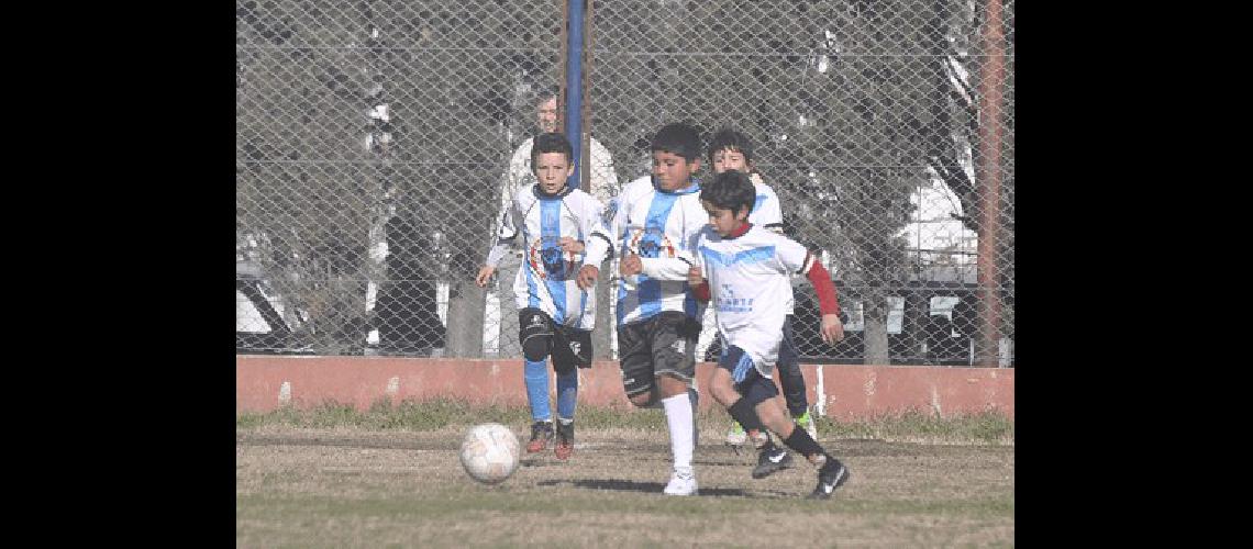 Tres categorÃ­as son de la partida en el torneo de invierno 