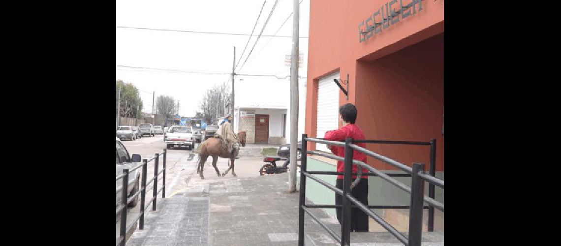 La nota de color de la jornada Un votante llegÃ³ a caballo para sufragar Los caminos son un desastre se quejÃ³ 