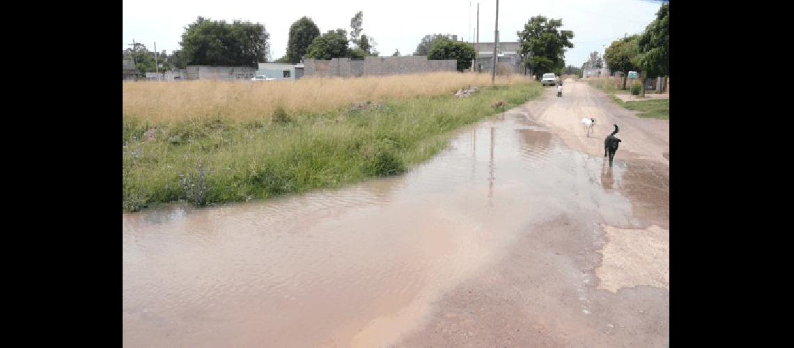 La pÃ©rdida estÃ� en calle 110 y Lamadrid pero unas cinco cuadras estÃ�n bajo agua 