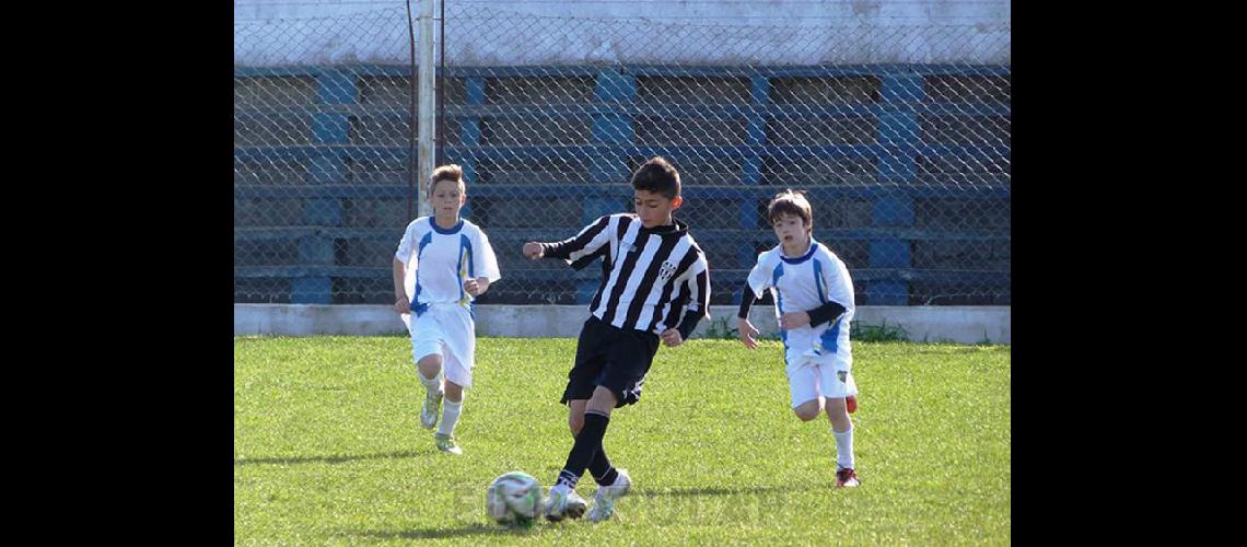 Culmina el torneo Carlos Rene Veneciano