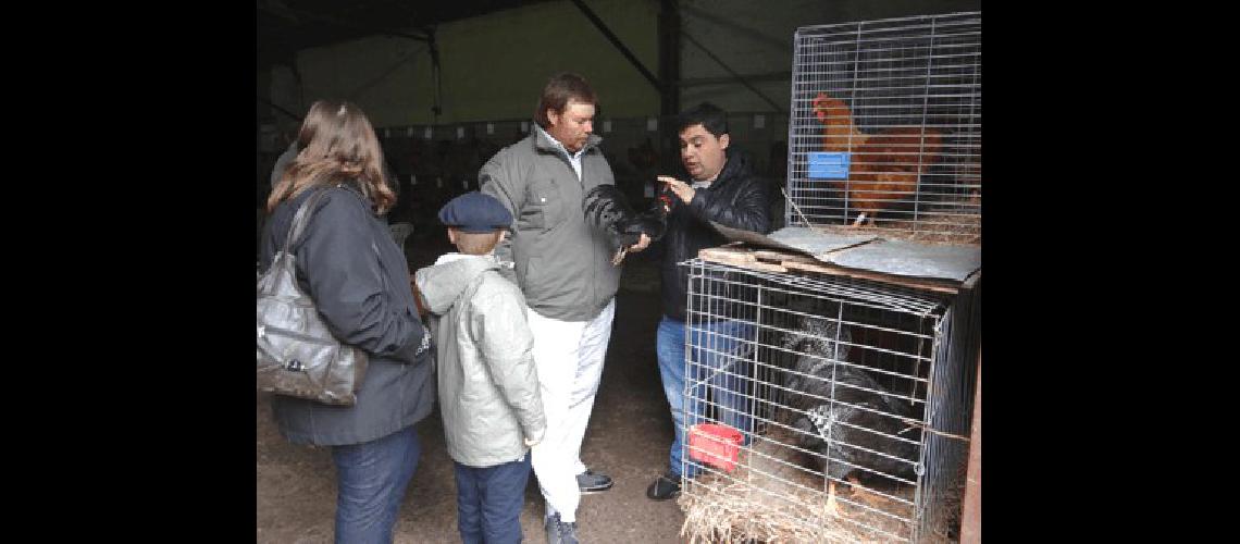 Visitantes y jurados destacaron la calidad y la cantidad de animales que participaron en la Expo La Madrid 