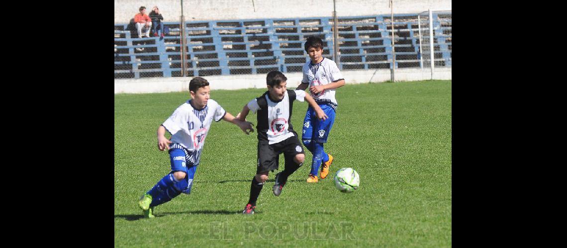 Se jugoacute la uacuteltima fecha de las Copas Competencia y Campeonato