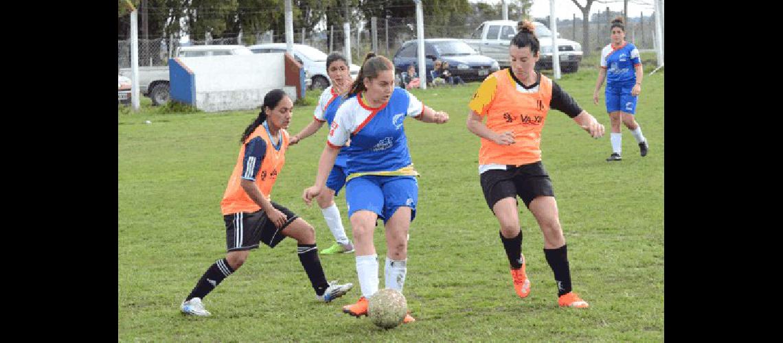 El torneo Apertura tendrÃ su continuidad 