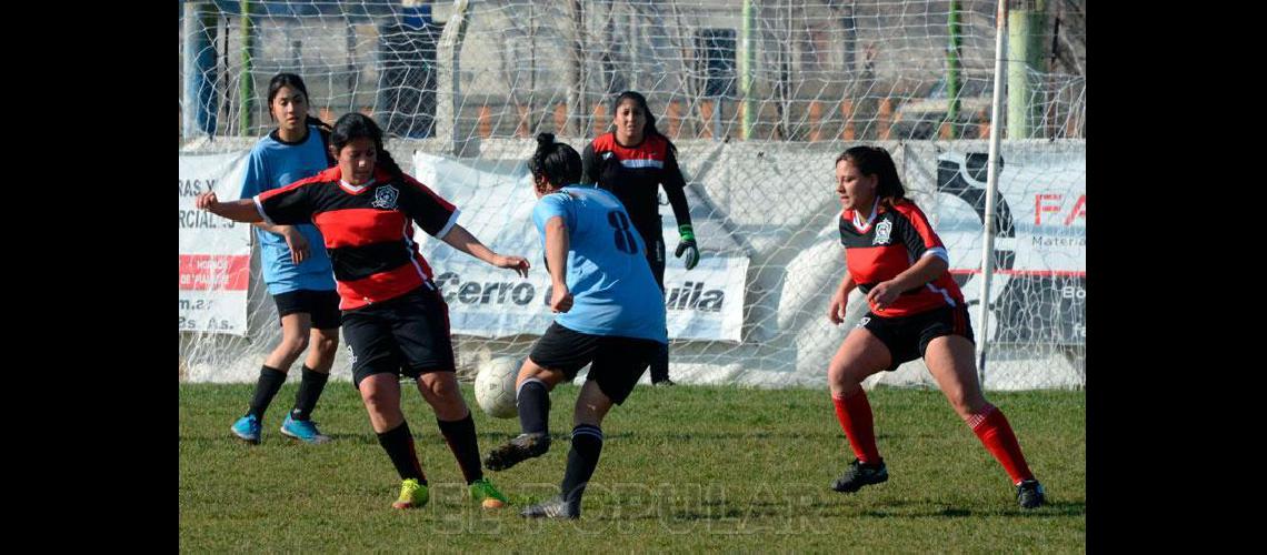 Nicolaacutes Avellaneda y el CEF Nordm 44 definiraacuten el Apertura