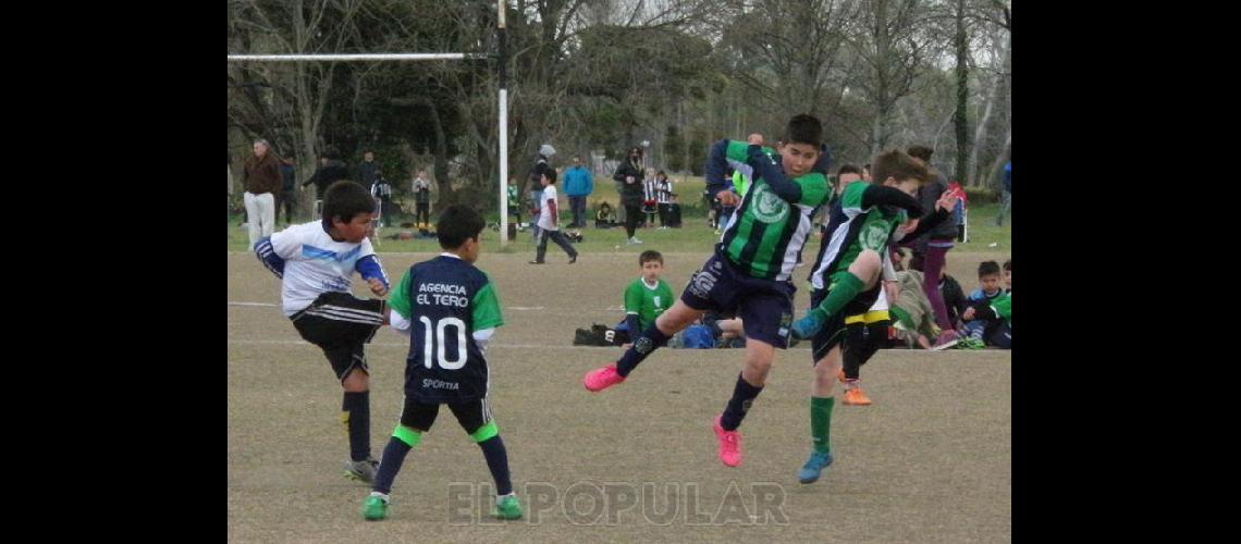 Pasoacute el Grand Prix en Estudiantes