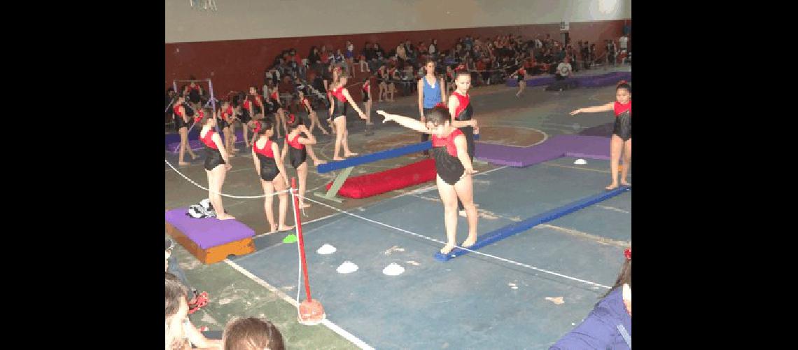 MÃ�s de 200 niÃ±as participaron del primer torneo de gimnasia artÃ­stica de La Madrid 