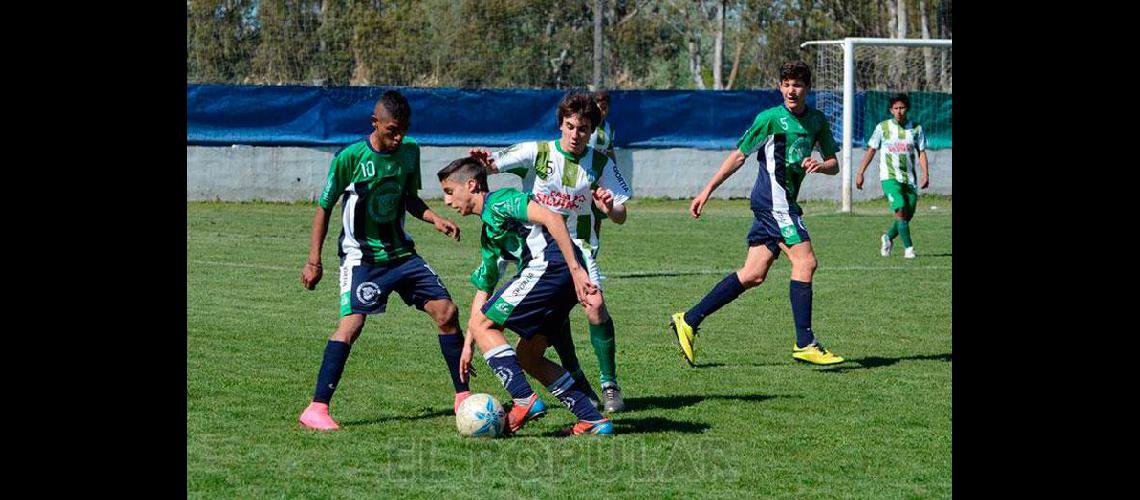 Este saacutebado va la octava fecha del torneo Clausura