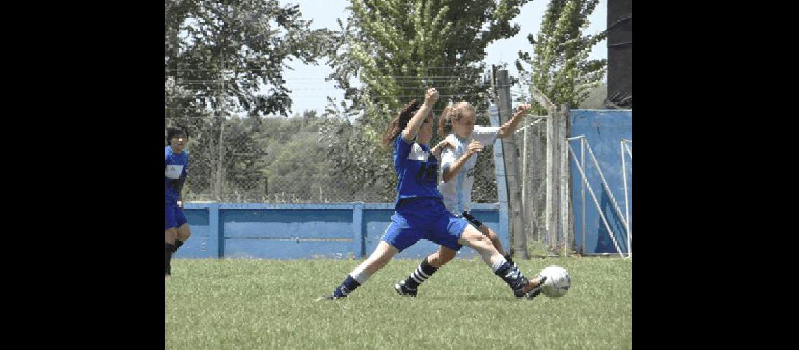 El torneo Clausura entrÃ³ en su etapa decisiva 