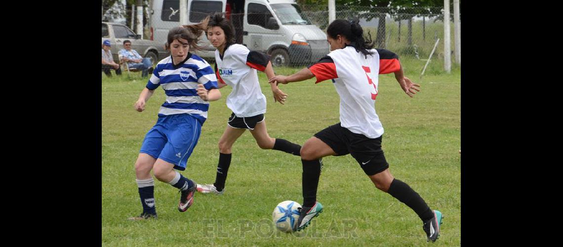 El torneo Clausura tiene los cuatro semifinalistas