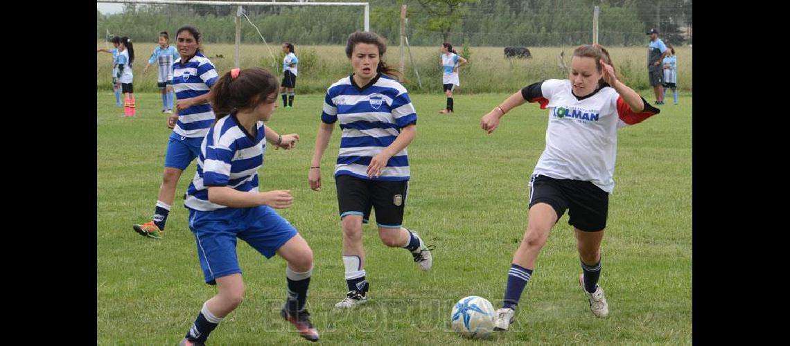 El torneo Clausura tiene los cuatro semifinalistas