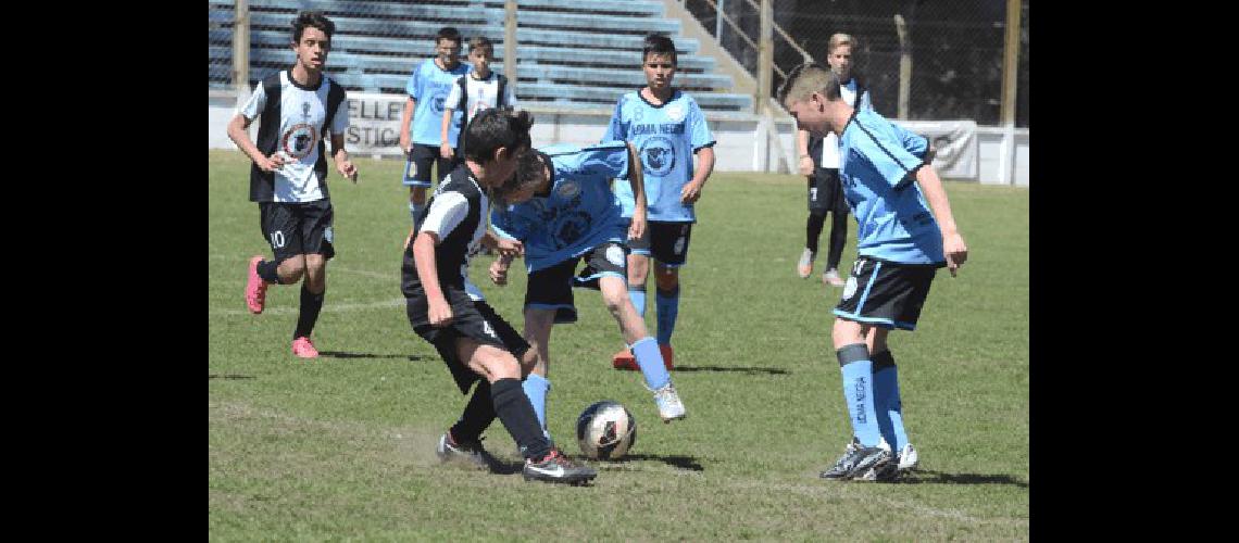 Loma Negra cambiÃ³ su imagen en los Ãºltimos aÃ±os y busca seguir avanzando dentro de esta temporada 