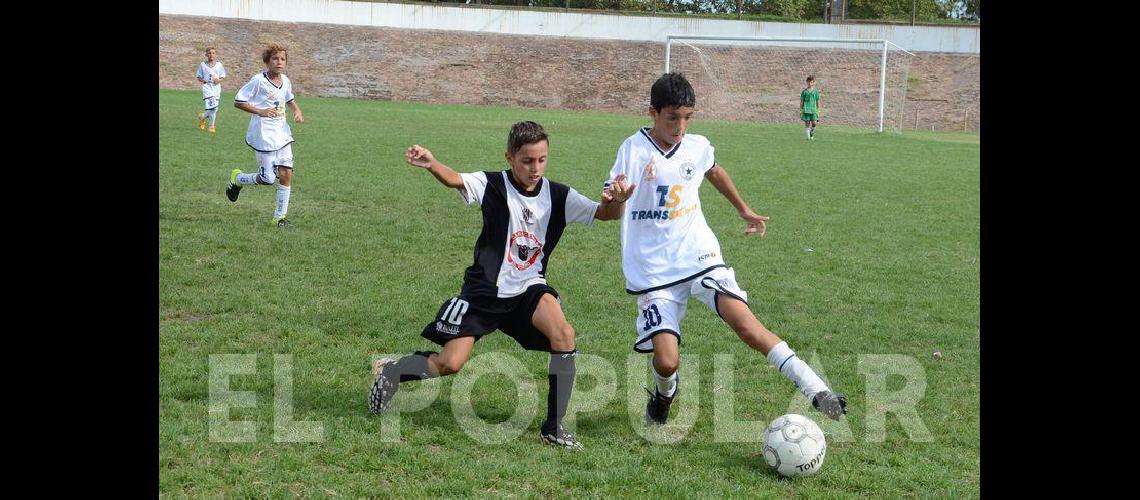 Loma Negra se quedoacute con la Copa de Verano CAE