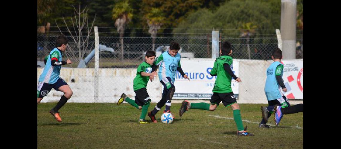 Llega la Copa Loma Negra