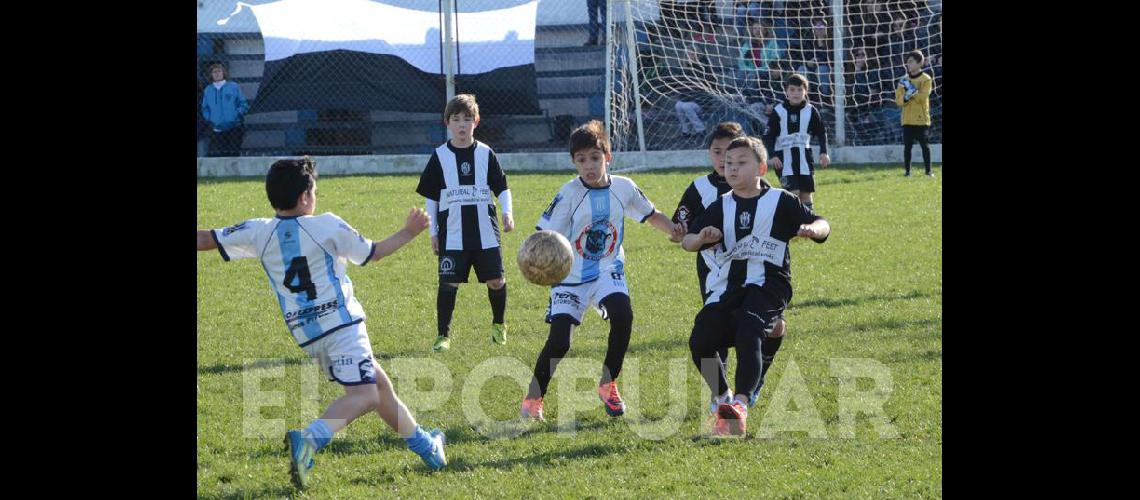 Alumni Ferro y Estudiantes son los campeones del Torneo de Invierno