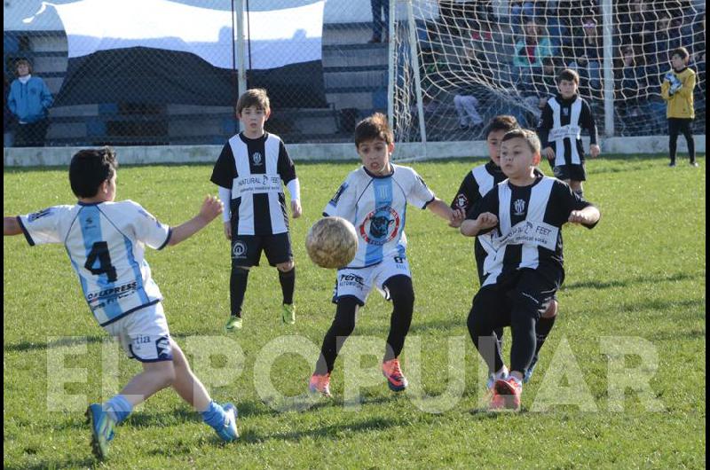 Alumni Ferro y Estudiantes son los campeones del Torneo de Invierno