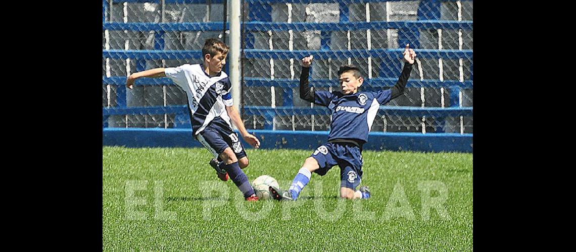 Jugadores olavarrienses realizaraacuten una prueba en Sarmiento