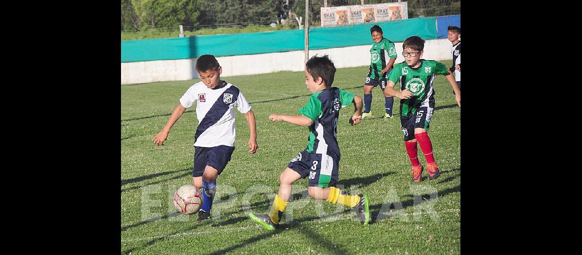 Continuacutea la Copa Embajadores