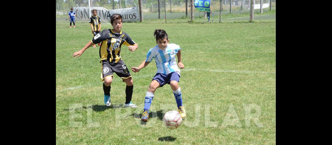 El CEO y Lifipa son los campeones de la Copa Embajadores