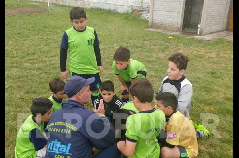 Los teritos inician el antildeo