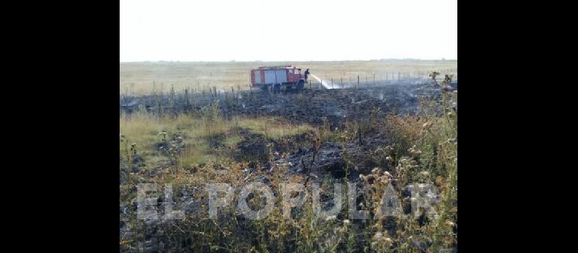 Los Bomberos de La Madrid trabajaron en un incendio de campo 