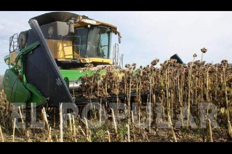 En General La Madrid los productores estÃ�n entre sorprendidos y preocupados por los rindes de la gruesa 