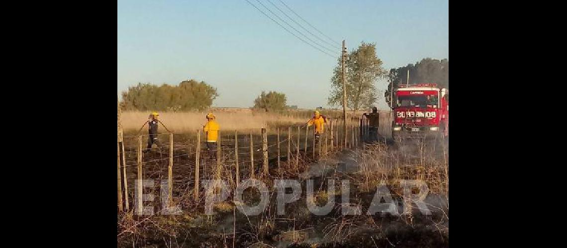 Los bomberos trabajaron por espacio de una hora y media 