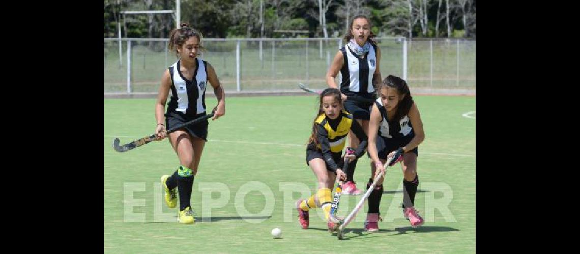 Se abriÃ³ la temporada de la federaciÃ³n 