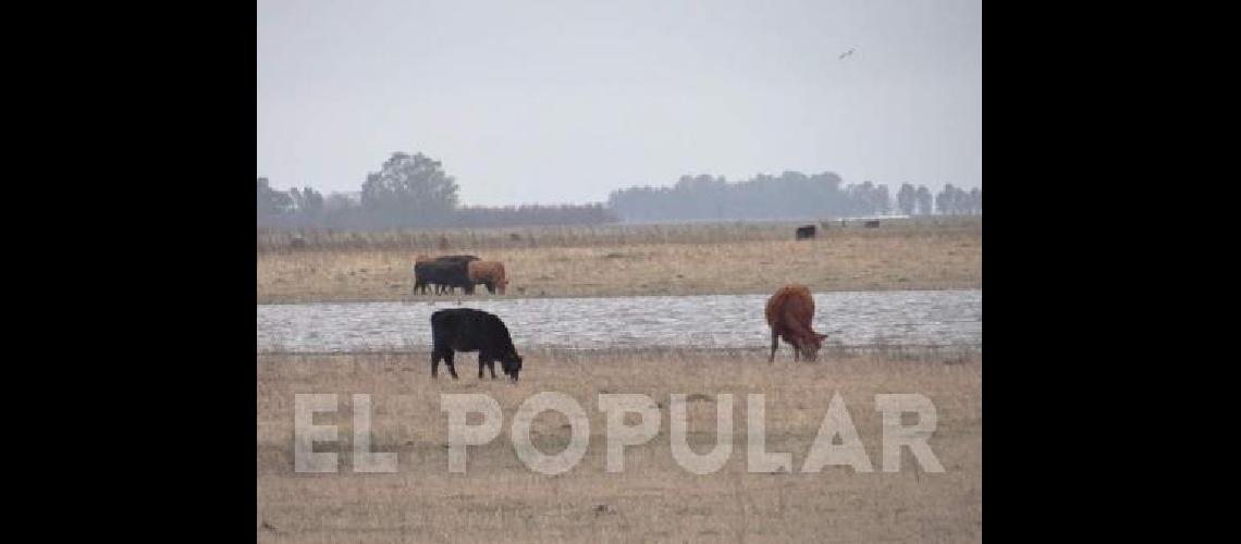 Las precipitaciones de hace unos dÃ­as trajeron algo de alivio a los productores 