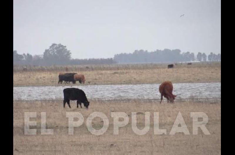 Las precipitaciones de hace unos dÃ­as trajeron algo de alivio a los productores 