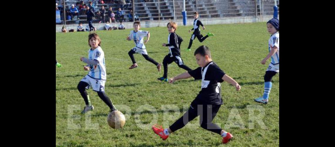 En El FortÃ­n jugarÃn los chicos de las categorÃ­as 2007 2008 y 2009 