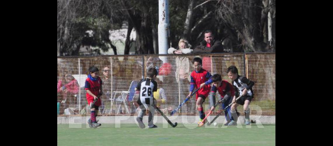 El Bataraz fue local ante Azul Rugby 